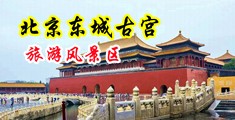 大黑鸡巴操老逼，视频中国北京-东城古宫旅游风景区